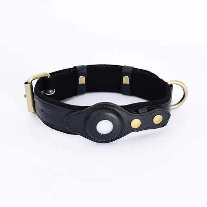 Dog Collar with Air Tag Tracking